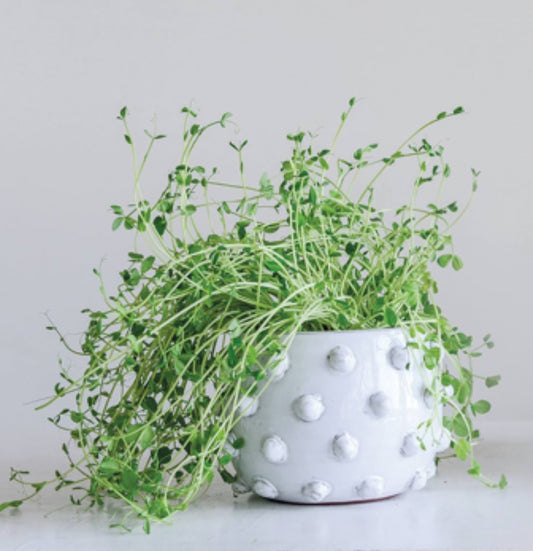 Bubble Pot Planter