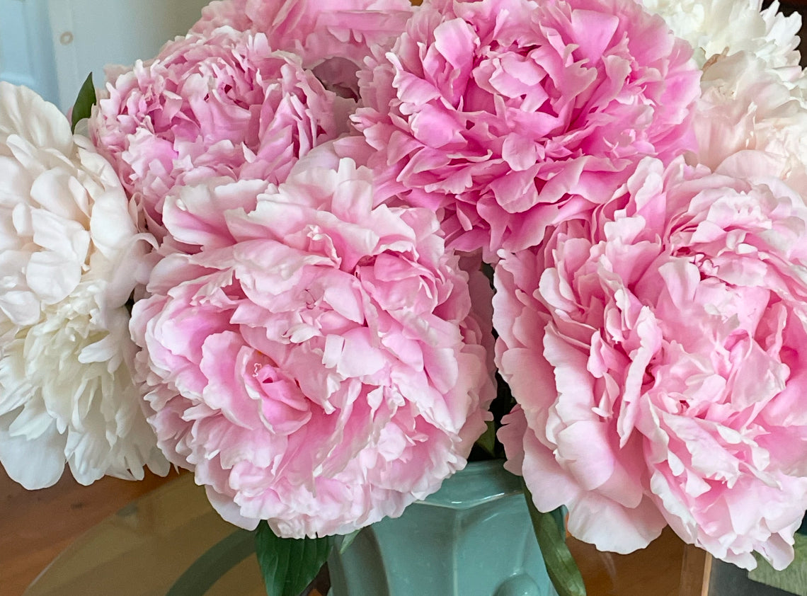 3 Week Peony Subscription PRINCE GEORGE