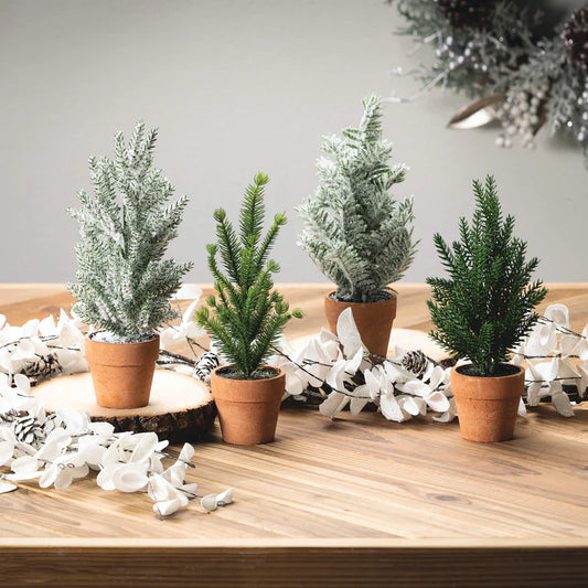 Mini Potted Evergreen Trees